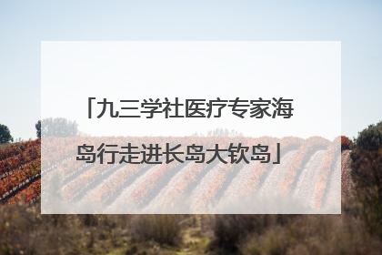 九三学社医疗专家海岛行走进长岛大钦岛