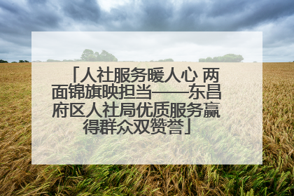 人社服务暖人心 两面锦旗映担当——东昌府区人社局优质服务赢得群众双赞誉