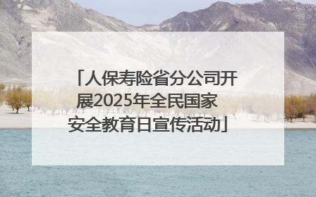 人保寿险省分公司开展2025年全民国家安全教育日宣传活动