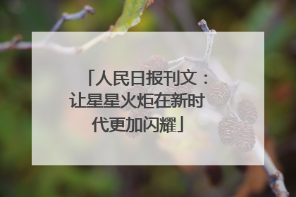 人民日报刊文：让星星火炬在新时代更加闪耀
