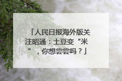 人民日报海外版关注昭通：土豆变“米”，你想尝尝吗？