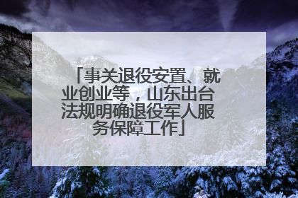 事关退役安置、就业创业等，山东出台法规明确退役军人服务保障工作