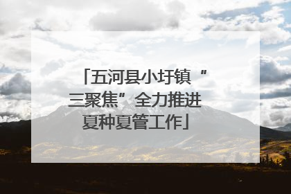 五河县小圩镇“三聚焦”全力推进夏种夏管工作
