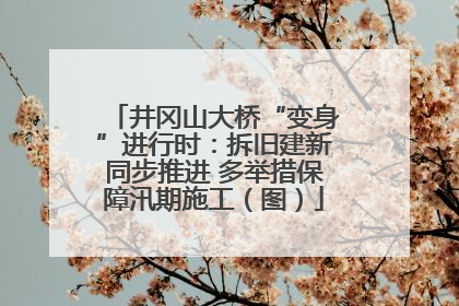 井冈山大桥“变身”进行时：拆旧建新同步推进 多举措保障汛期施工（图）