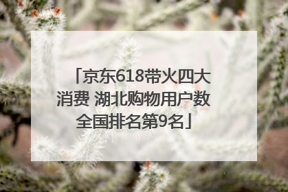 京东618带火四大消费 湖北购物用户数全国排名第9名