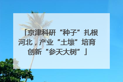 京津科研“种子”扎根河北，产业“土壤”培育创新“参天大树”