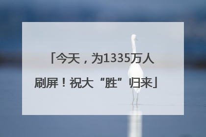 今天，为1335万人刷屏！祝大“胜”归来