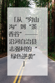 从“穷山沟”到“茶香谷”——沿河自治县志强村的“绿色逆袭”