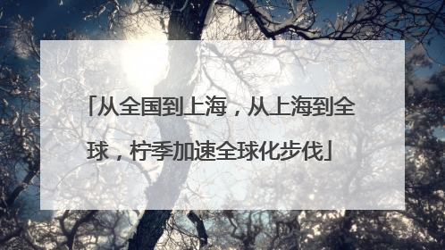 从全国到上海，从上海到全球，柠季加速全球化步伐