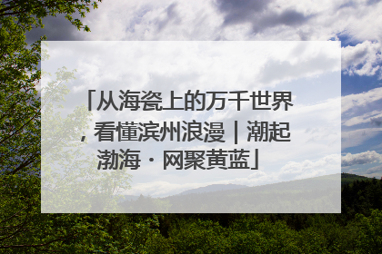 从海瓷上的万千世界，看懂滨州浪漫｜潮起渤海・网聚黄蓝