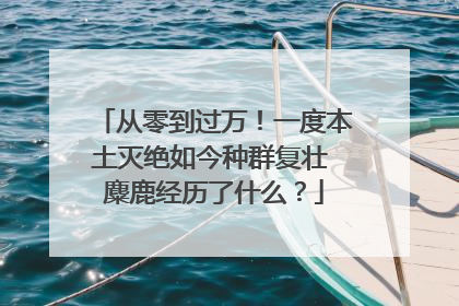 从零到过万！一度本土灭绝如今种群复壮 麋鹿经历了什么？