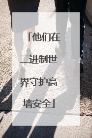 他们在二进制世界守护高墙安全