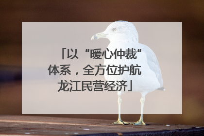 以“暖心仲裁”体系，全方位护航龙江民营经济