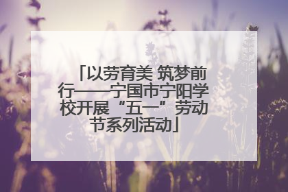 以劳育美 筑梦前行——宁国市宁阳学校开展“五一”劳动节系列活动