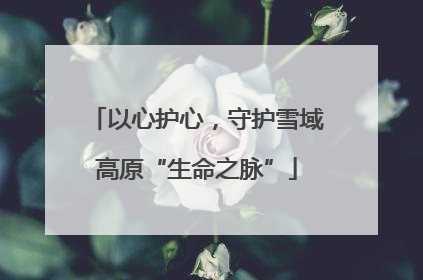 以心护心，守护雪域高原“生命之脉”