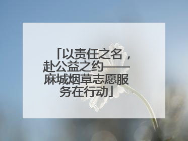 以责任之名，赴公益之约——麻城烟草志愿服务在行动