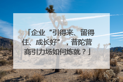 企业“引得来、留得住、成长好”，普陀营商引力场如何炼就？