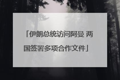 伊朗总统访问阿曼 两国签署多项合作文件