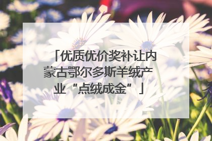 优质优价奖补让内蒙古鄂尔多斯羊绒产业“点绒成金”