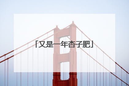 又是一年杏子肥