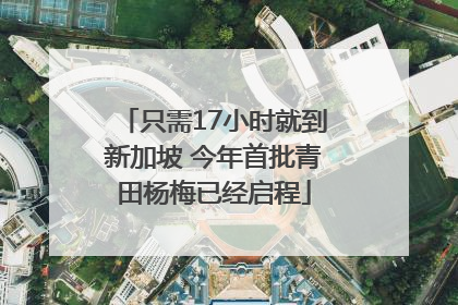 只需17小时就到新加坡 今年首批青田杨梅已经启程