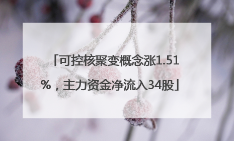 可控核聚变概念涨1.51%，主力资金净流入34股