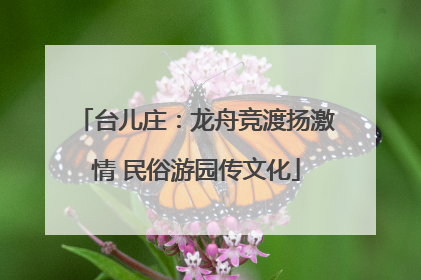 台儿庄：龙舟竞渡扬激情 民俗游园传文化
