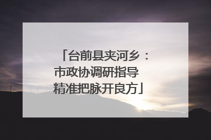 台前县夹河乡：市政协调研指导 精准把脉开良方