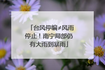 台风停编≠风雨停止！南宁局部仍有大雨到暴雨