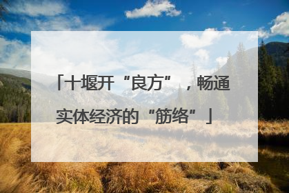 十堰开“良方”，畅通实体经济的“筋络”