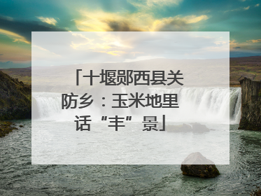 十堰郧西县关防乡：玉米地里话“丰”景