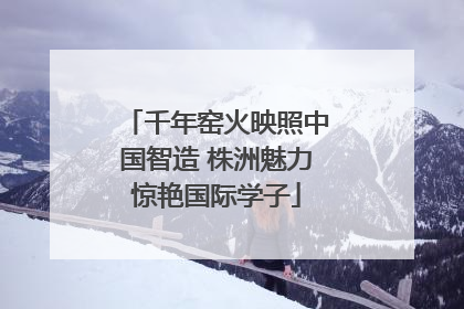 千年窑火映照中国智造 株洲魅力惊艳国际学子