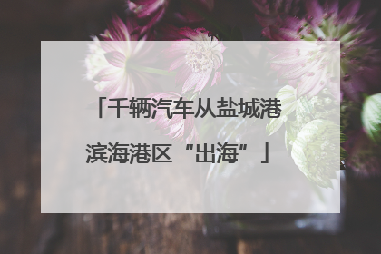 千辆汽车从盐城港滨海港区“出海”