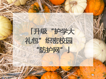 升级“护学大礼包”织密校园“防护网”