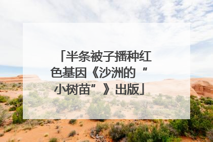 半条被子播种红色基因《沙洲的“小树苗”》出版