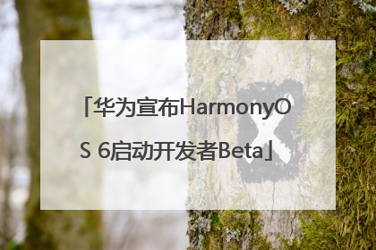 华为宣布HarmonyOS 6启动开发者Beta