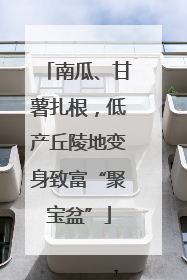 南瓜、甘薯扎根，低产丘陵地变身致富“聚宝盆”