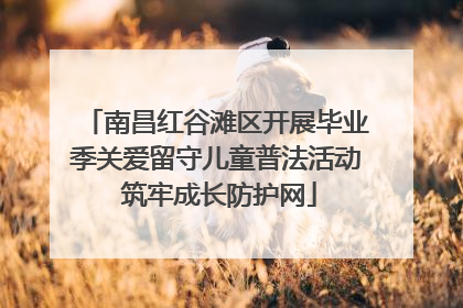 南昌红谷滩区开展毕业季关爱留守儿童普法活动 筑牢成长防护网