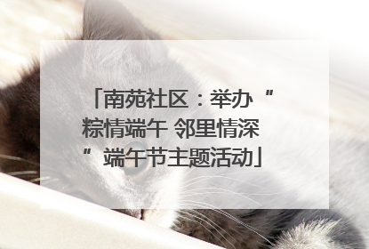 南苑社区：举办“粽情端午 邻里情深”端午节主题活动