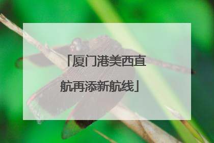 厦门港美西直航再添新航线