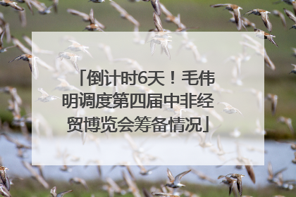 倒计时6天！毛伟明调度第四届中非经贸博览会筹备情况