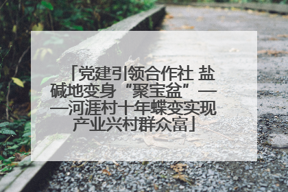 党建引领合作社 盐碱地变身“聚宝盆”——河涯村十年蝶变实现产业兴村群众富