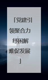 党建引领聚合力 纾困解难促发展