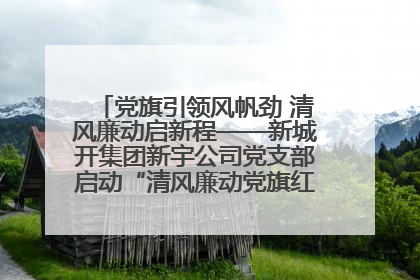 党旗引领风帆劲 清风廉动启新程——新城开集团新宇公司党支部启动“清风廉动党旗红”系列活动
