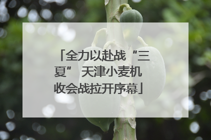 全力以赴战“三夏” 天津小麦机收会战拉开序幕