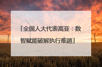 全国人大代表高亚：数智赋能破解执行难题