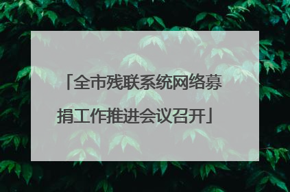 全市残联系统网络募捐工作推进会议召开