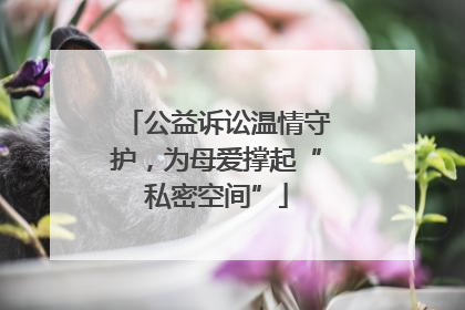 公益诉讼温情守护，为母爱撑起“私密空间”