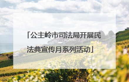 公主岭市司法局开展民法典宣传月系列活动