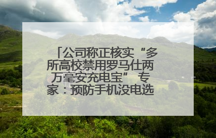 公司称正核实“多所高校禁用罗马仕两万毫安充电宝” 专家：预防手机没电选中等体积产品即可